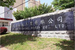 大连协成木业