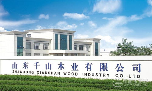 强强再联手 共谱新篇章 千山板材强势冠名2021 金匠榜 网评活动
