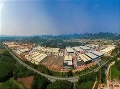 勐腊木业引领木材行业创新,绿色转型成新热点